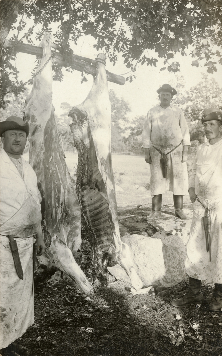 Axel A W Swinhufvud, Landstormens mobilisering 1914, slakteriavdelningen.