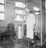 Gävle Mejeri. 9 augusti 1953.
Reportage Gefle Dagblad.