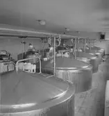 Gävle Mejeri. 9 augusti 1953.
Reportage Gefle Dagblad.