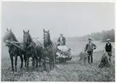 Norrby socken, Sala, Norrby.
Havreskörd med självbindare i Norrby, 1921.