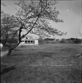 SOMMARHUS PÅ LÅNGÖ