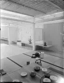 JAPANSKA AVDELNINGEN