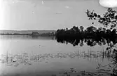 VY ÖVER HUSGÄRDESSJÖN MOT BILLINGEN. TILL HÖGER I BILD UDDEN MED AXEVALLA HUS.