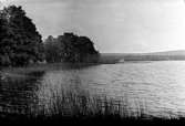 Vy över Flämsjön sedd från Remningstorp.Fototid: september 1930.