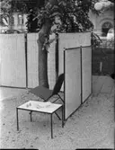 DIVERSE BESLAG, KÖKSINTERIÖRER, GLAS I FINSKA AVD. M.M. H55
INT.