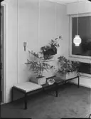 DIVERSE BESLAG, KÖKSINTERIÖRER, GLAS I FINSKA AVD. M.M. H55
INT.