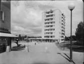 PARKEN TORG HÖKARÄNGEN