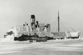 Lastångfartyget TORÖ av Stockholm. Minsprängt den 12.12.1939 vid Falsterbo. Obs. att akterskeppet brutits loss av isen. Framför fartyget v. Bahrs autogiro.