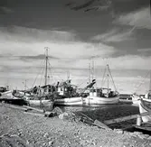 Bläsinge hamn 4/10 1957.