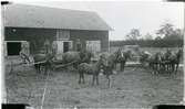 Romfartuna sn, Västerås, Tå.
Maskinparken på Tå gård, 1920-talet.