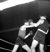 Boxningsgala.
31 januari 1959.