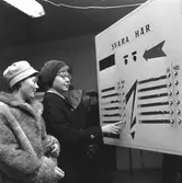 Röda Korsets årsmöte. 
11 februari 1959.