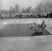 Livräddning på Gustavsvik.
19 mars 1959.