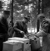 Inryckning vid I3. 
1 april 1959.