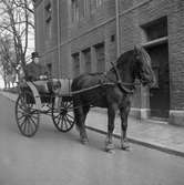 Häst och vagn.
28 april 1959.