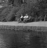 Parksoffor vid slottet. 
13 maj 1959.