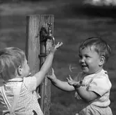 Strandäventyr vid Gustavsvik. 
16 maj 1959.