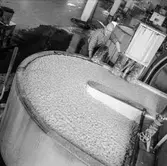 Man i arbete vid Holländeri PM 3 och 11 på pappersbruket Papyrus i Mölndal, 6/5 1955.