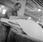 Man i arbete vid hydropulper på pappersbruket Papyrus i Mölndal, 6/5 1955.