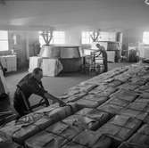 Män i arbete vid hydropulper på pappersbruket Papyrus i Mölndal, 6/5 1955.
