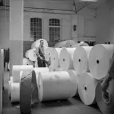 Man i arbete i rullager på pappersbruket Papyrus i Mölndal, 8/5 1955. Mannen är troligtvis Sven Harström.