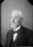 Ateljéporträtt - Otto Beronius, Östhammar, Uppland