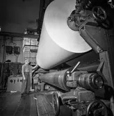 Man i arbete vid PM12, upprullning, på pappersbruket Papyrus i Mölndal, 13/5 1955.