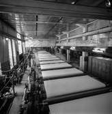 Man i arbete vid PM1 på pappersbruket Papyrus i Mölndal, 13/5 1955.
