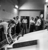 Reportage från pappersbruket Papyrus pressvisning i Mölndal, 29/8 1955.