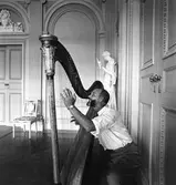 Reportage från pappersbruket Papyrus pressvisning i Mölndal, 29/8 1955. En man spelar harpa på Gunnebo slott.