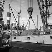 Transport av pappersbruket Papyrus PM2 yankeecylinder. Cylindern hissas upp med lyftkran i Göteborgs hamn, 2/6 1956.