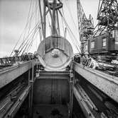 Transport av pappersbruket Papyrus PM2 yankeecylinder på fartyg. Göteborgs hamn, 16/4 1957.