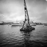 Transport av pappersbruket Papyrus PM2 yankeecylinder. Cylindern fraktas med flytande lyftkran i Göteborgs hamn, 16/4 1957.