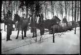 Mjölkkörning med häst och släde