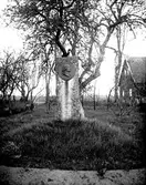 Minnessten över Johan Henrik Kjellgren.