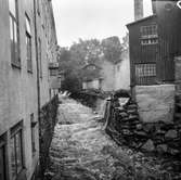 Mölndalsån, uppströms Forsebron. Mölndal, 1/6 1961.