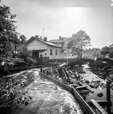 Mölndalsån uppströms Forsebron. Mölndal, 28/6 1963.