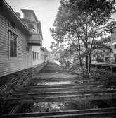 Mölndalsån uppströms Forsebron. Mölndal, 28/6 1963.