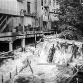 Mölndalsån uppströms Forsebron. Mölndal, 27/8 1963.