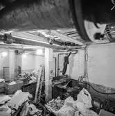 Man i arbete i kollergångshuset på pappersbruket Papyrus i Mölndal, 5/12 1963.