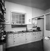 Interiörbild från pappersbruket Papyrus i Mölndal, 25/5 1964. Laboratorium.