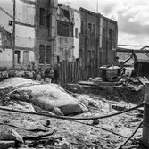 Schaktning vid byggnad nr 9 på pappersbruket Papyrus i Mölndal, 25/8 1964.