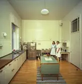 Pappersbruket Papyrus disponentbostad i Mölndal, september 1965.