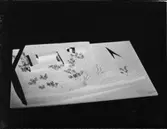 MODELL ÅLDERDOMSHEM, ROSLAGS - LÄNNA