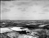 John Liedholms glasplåtssamling.