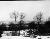 John Liedholms glasplåtssamling.