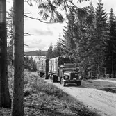 Timmerlass med lastbil, 22/10 1967. Fotografi för pappersbruket Papyrus årsberättelse 1967.
