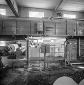 Man i arbete vid målmaskin nr 1 på pappersbruket Papyrus i Mölndal, 29/7 1968.