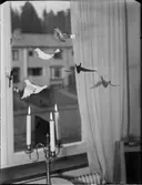 JULDEKORATIONER BAUER