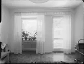 GARDINUPPSÄTTNING, BLACKEBERG